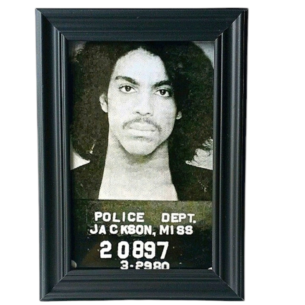 Prince mugshot music retro 70s 80s vintage Rock Purple rain Rock star icon.pop